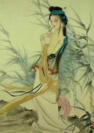 玉萝娇蜜姜小说写什么